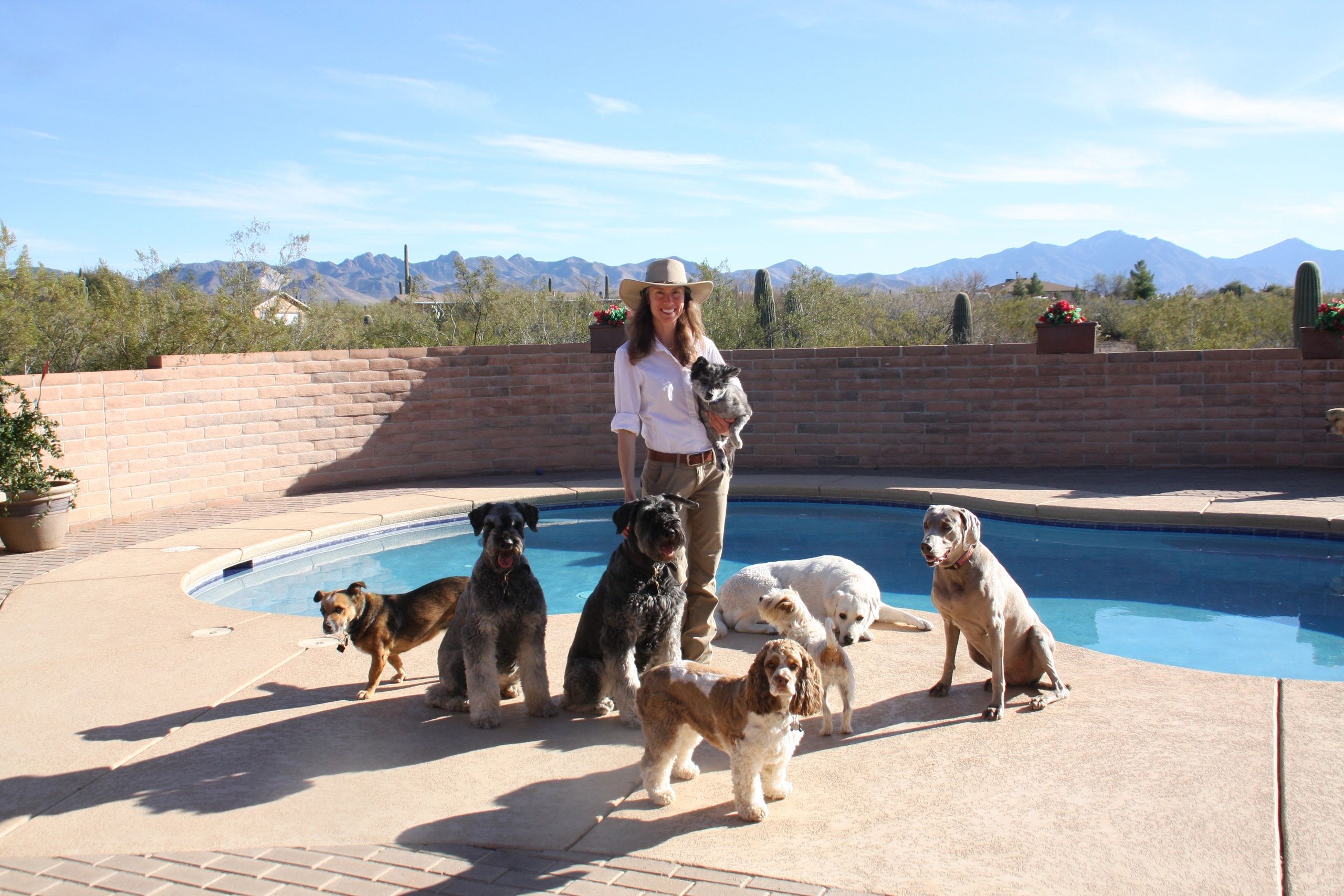 Dog Boarding in Tucson AZ | Tucson Adventure Dog Ranch