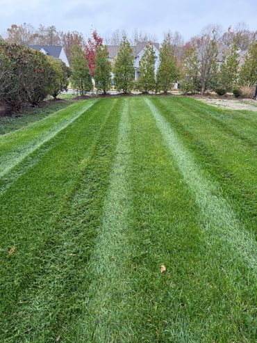 Freshly mowed lawn with neat stripes and autumn foliage backdrop.