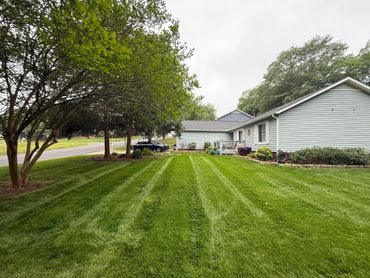 Well-maintained lawn with fresh mowing lines beside a suburban house.