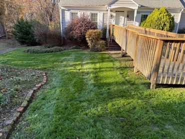Lawn with a wooden ramp leading to a house entrance in autumn.