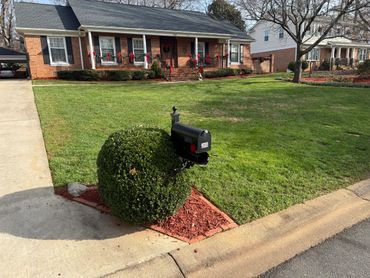 A house with Christmas decorations and a mailbox on a shrub.