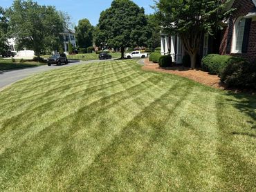 Freshly mowed lawn with striped patterns in a suburban neighborhood.