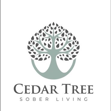 Logo of Cedar Tree with a stylized tree and the words 'Sober Living'.