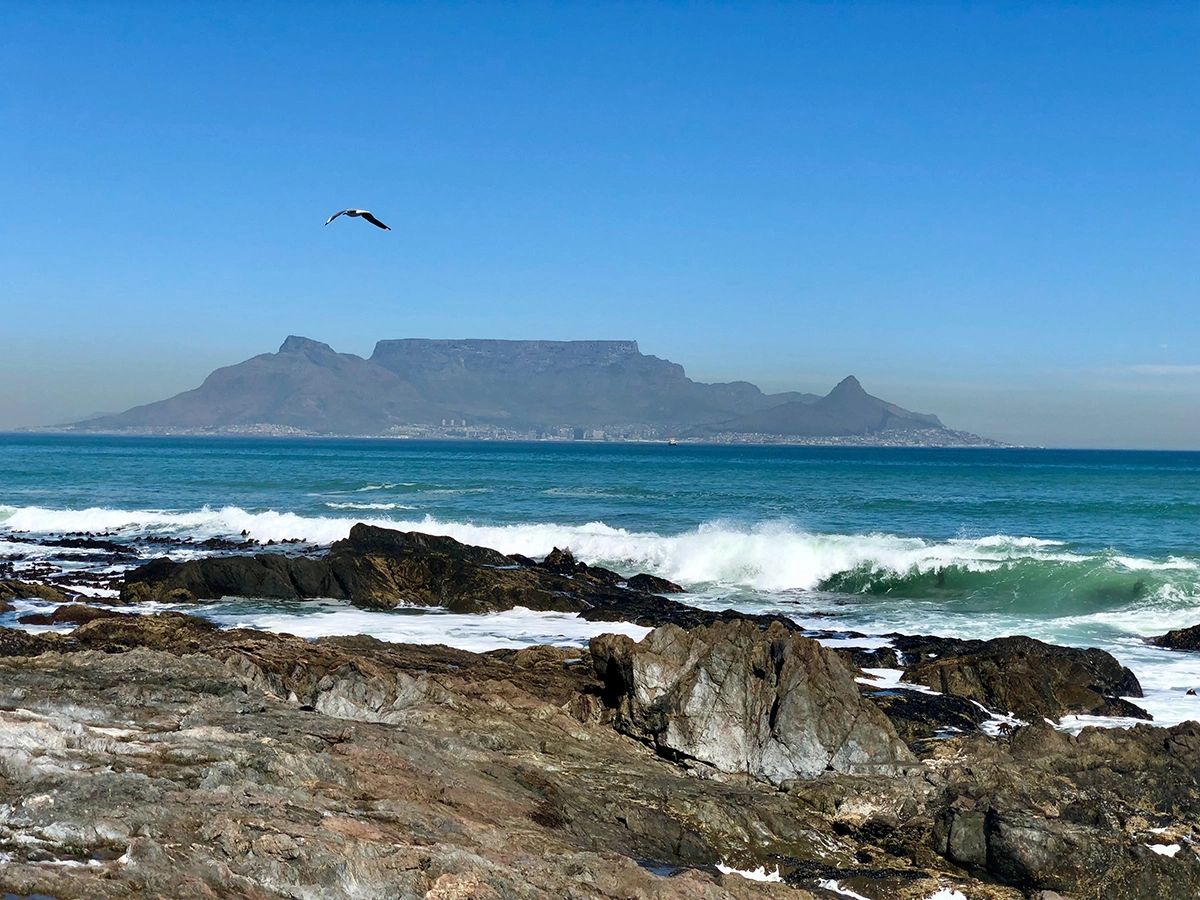 Dramatic view of Table Mountain across the ocean from Bloubergstrand Beach in Cape Town. Waves crash over dark rocky outcrops in the foreground while a lone seagull soars in the clear blue sky above the turquoise sea. The iconic flat-topped mountain is framed by Lion’s Head and Devil’s Peak in the background. Rocky Atlantic coastline with iconic Table Mountain view across the bay, classic Cape Town guide photography spot