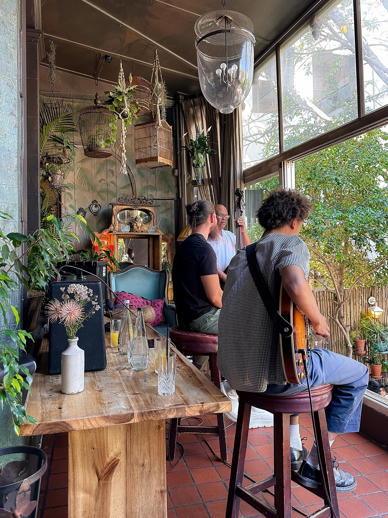 Three musicians perform in a cozy, plant-filled lounge with vintage decor, birdcages, and large windows letting in natural light. A wooden table with glassware and flowers sits in the foreground, creating a warm, eclectic atmosphere. Live jazz musicians performing at Kloof Street House amid bohemian décor with hanging plants and vintage furniture