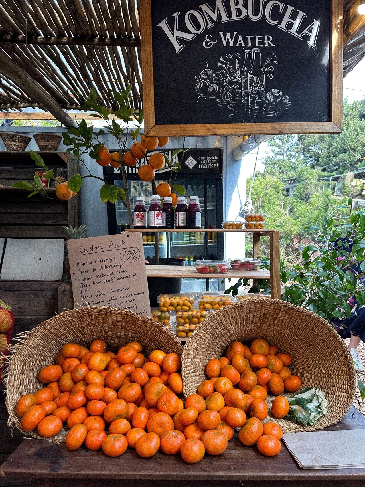 Market stall with two woven baskets overflowing with fresh oranges, a sign for kombucha and water, and a handwritten board describing custard apples. Bottled drinks and small produce packs are arranged on wooden shelves in the background under a rustic canopy. Fresh citrus and produce display at Oranjezicht City Farm Market with Kombucha sign. Text reads: "KOMBUCHA & WATER," "Custard Apple" handwritten sign