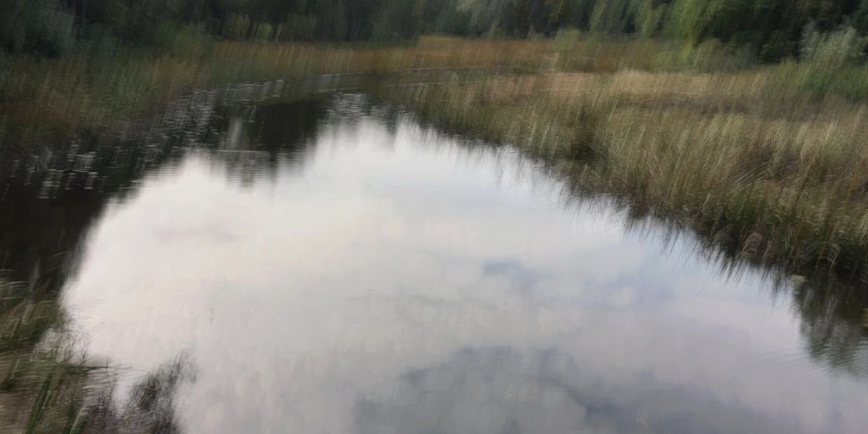 River, reeds, and trees in a blur.