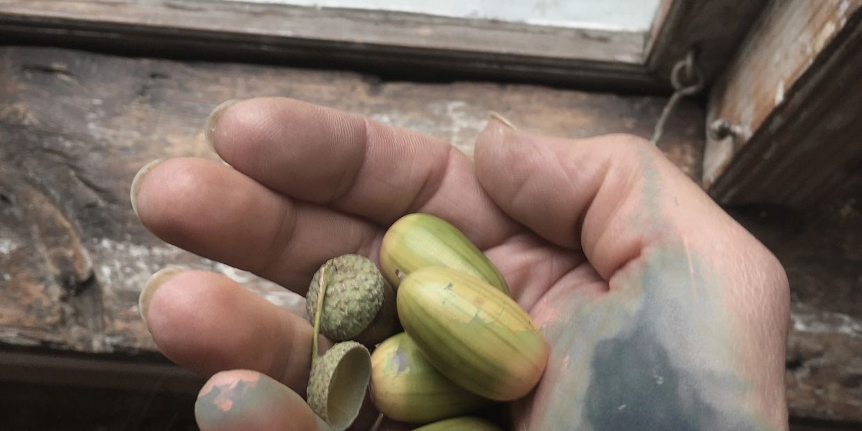 Hand with acorns #3