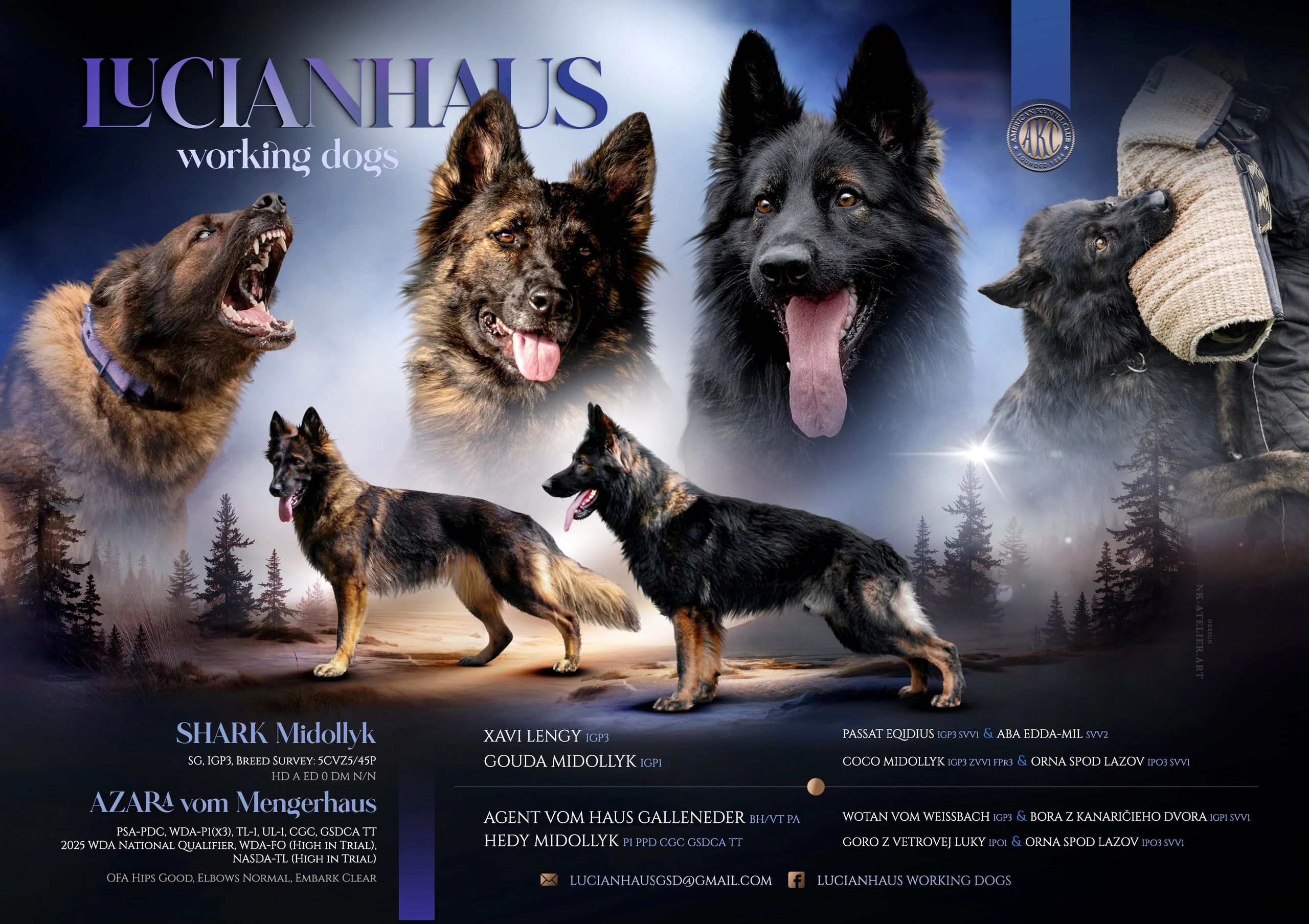 Collage of German Shepherd working dogs with detailed lineage and achievements.