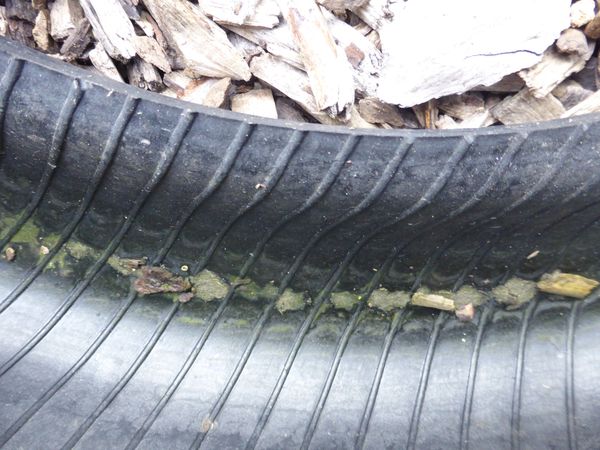 Photography by young people