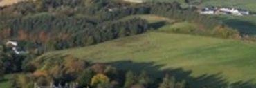 Aerial view of a green rural landscape with scattered trees and fields.