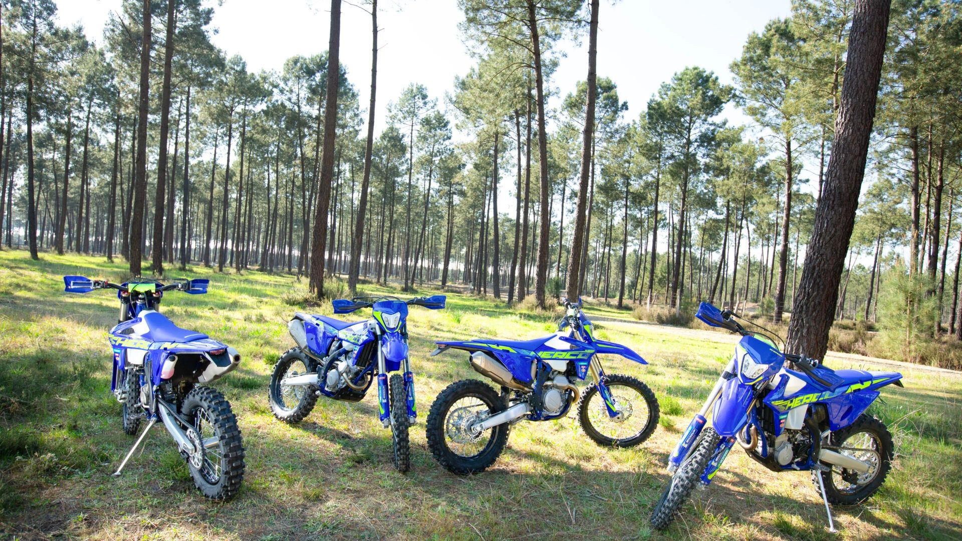 2026 TM MX 85 JUNIOR 2T