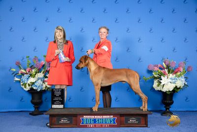 Two women in red dresses with a dog at a dog show awards ceremony.