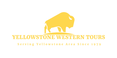 Yellowstone Western Tours