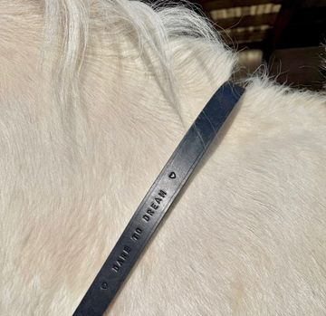 Close-up of a white horse with a black strap reading 'DARE TO DREAM'.