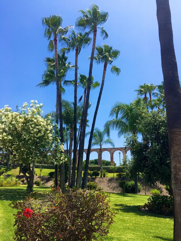 Oasis Gardens