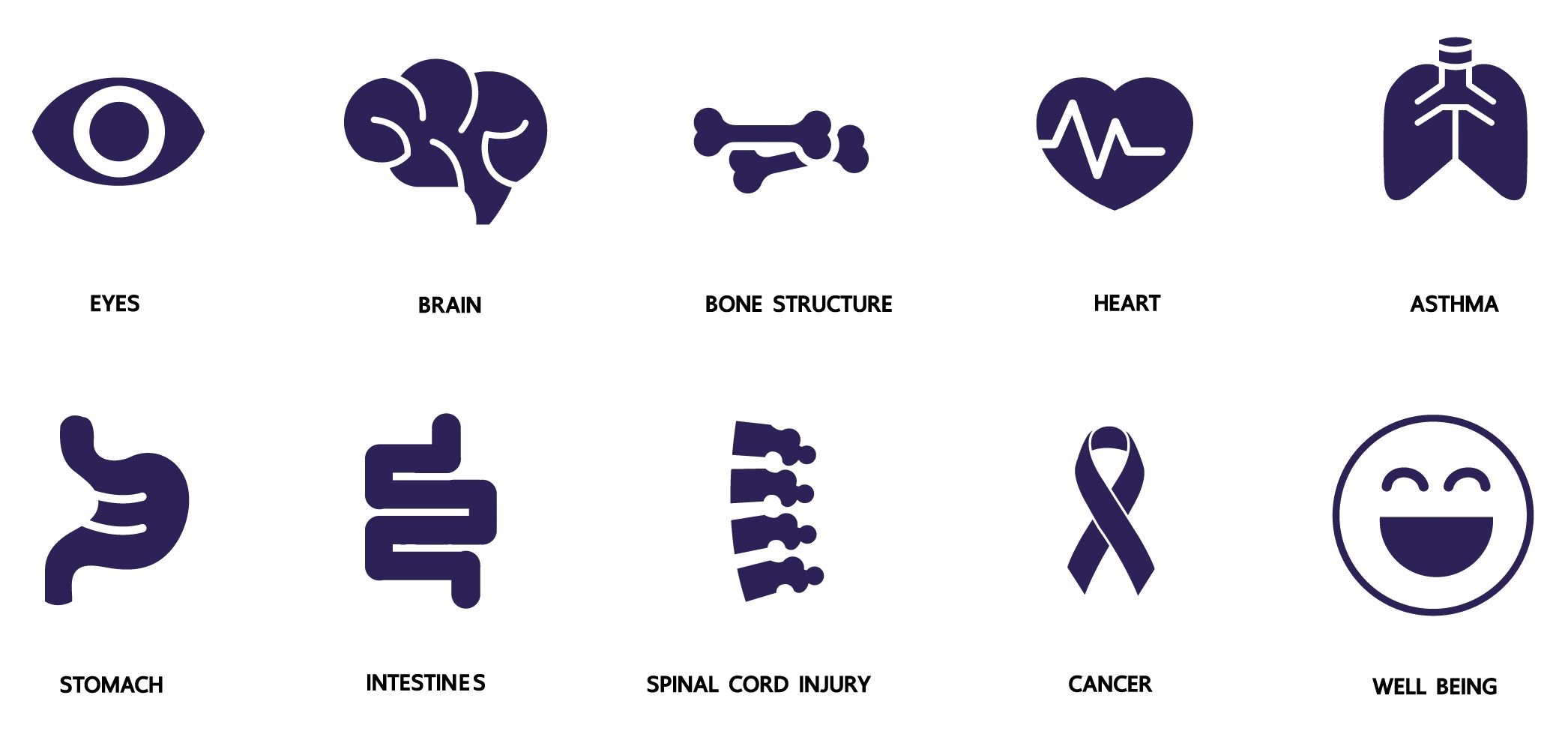 Garden state Hemp CBD pain relief sleep support health wellness mushroom support hemp seed oil