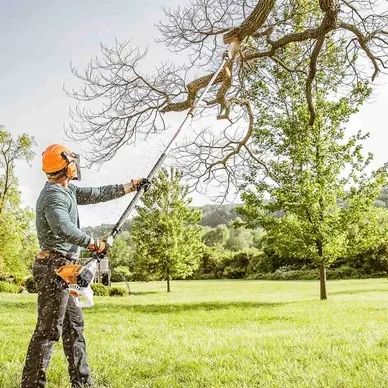 Man trimming tree branches with a pole saw in a sunny park.