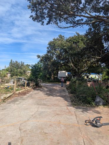 A man stands on a sunlit driveway surrounded by trees and garden tools.