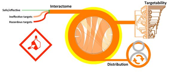 Diagram illustrating drug safety, target interaction, distribution, and targetability.