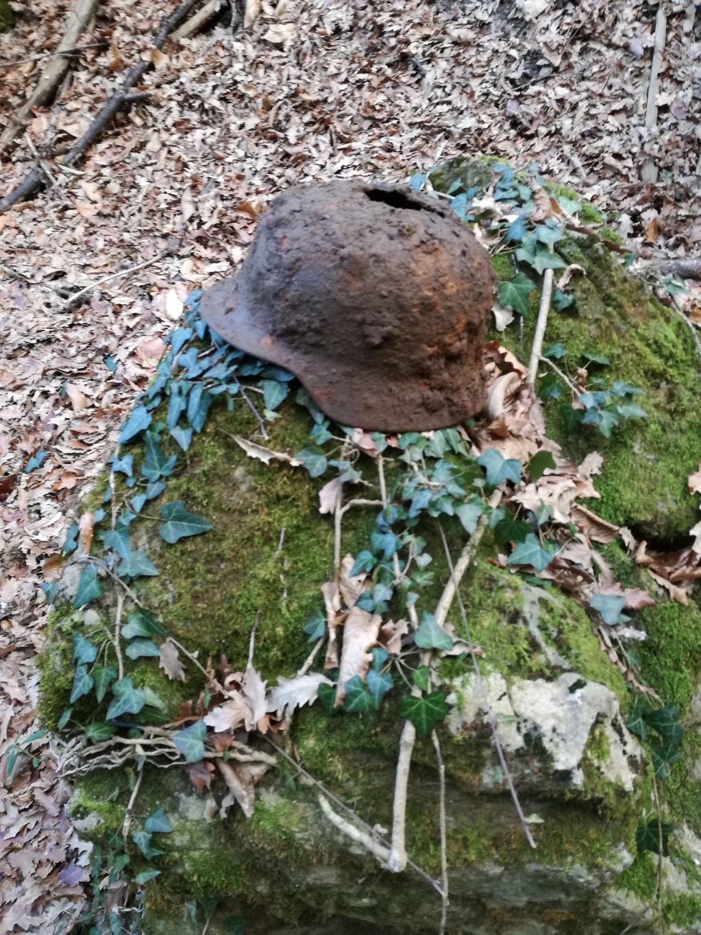 Rusty helmet resting on mossy rocks covered in ivy and dry leaves.