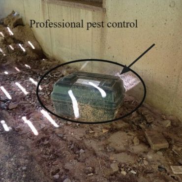 Professional pest control. Rodent poison box near foundation in Derry NH