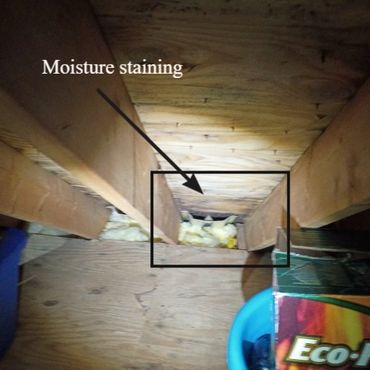 Minor attic mold at a home in New Market NH