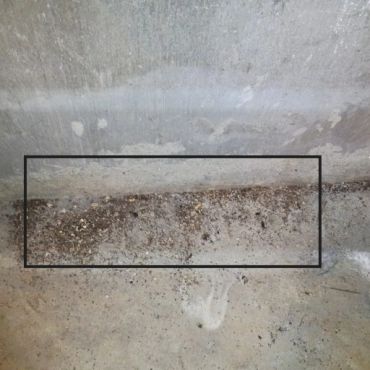 Pest parts below a front door with an improperly flashed front concrete step system. Manchester NH