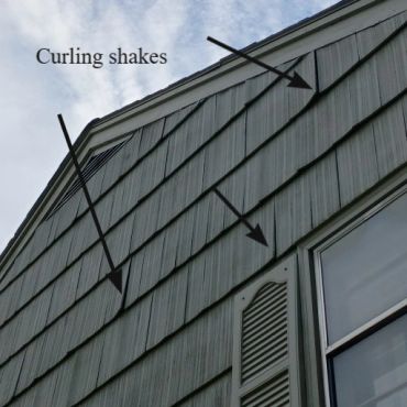 1950 curling shakes in Belmont NH