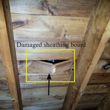 Damaged roof sheathing, discovered during an attic inspection. York Maine.
