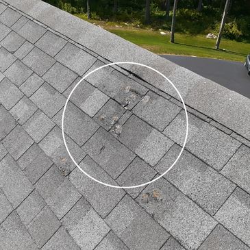 Shingle damage discovered an annual building inspection.