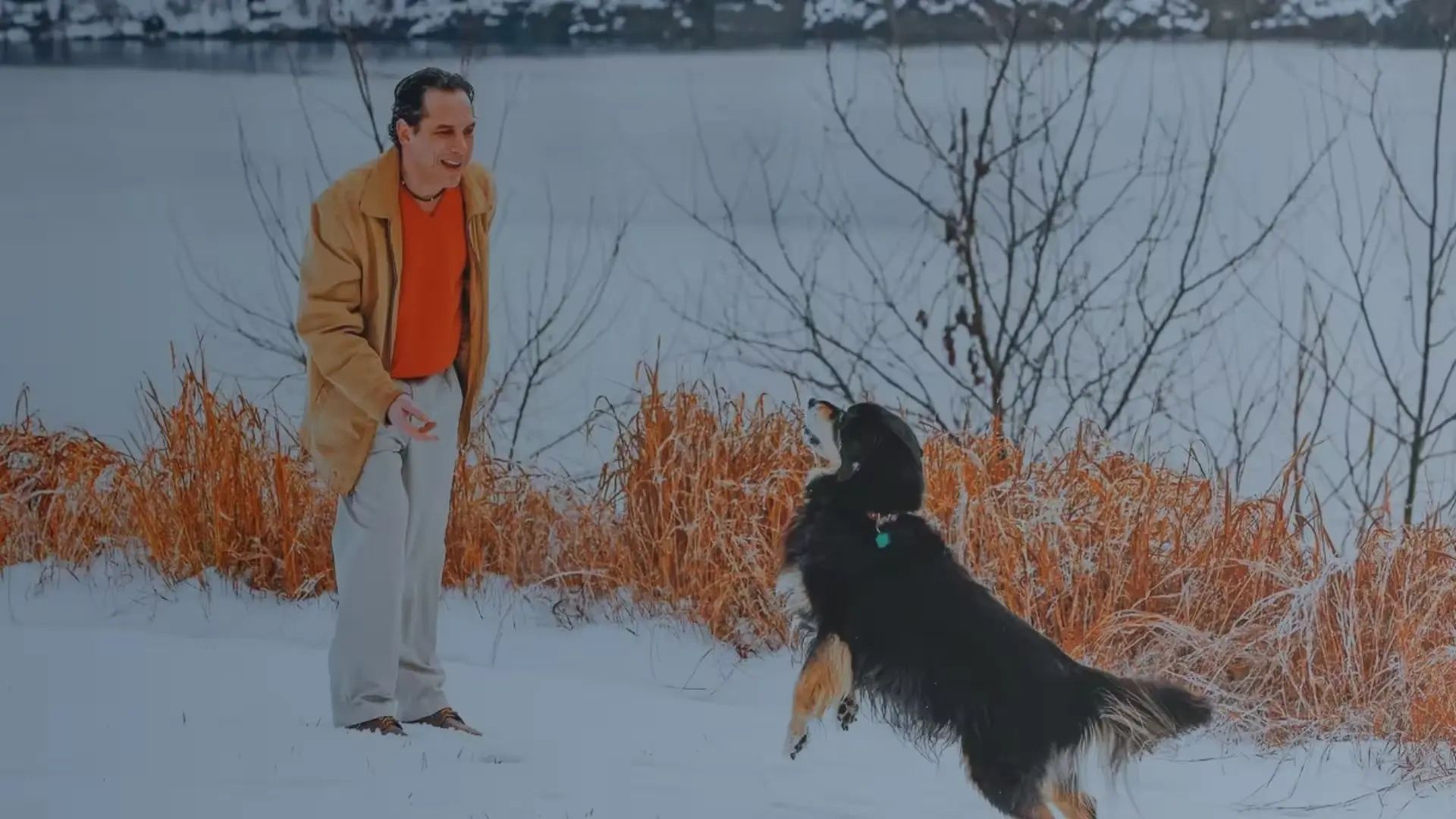 Pawsitive Paul's Dog Training - Dog trainer in Seattle