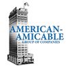 American amicable group of companies for life insurance