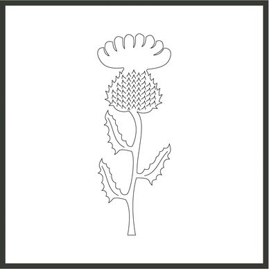 A design of a Scottish Thistle
