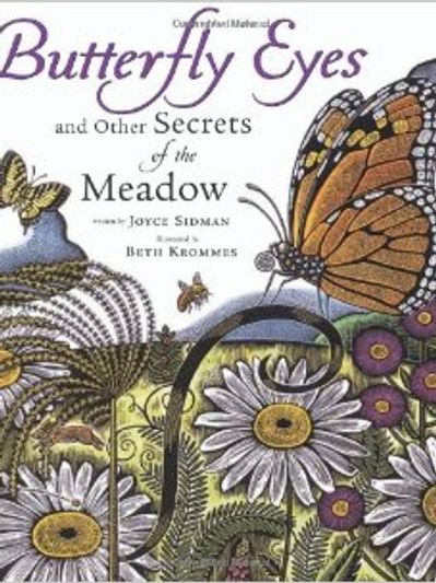 Butterfly Eyes and Other Secrets of the Meadow by Joyce Sidman