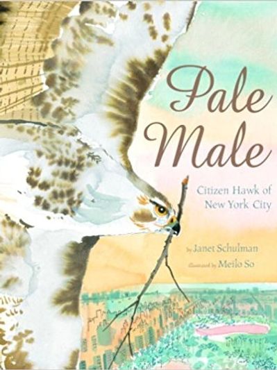 Pale Male Citizen Hawk of New York City by Janet Schulman