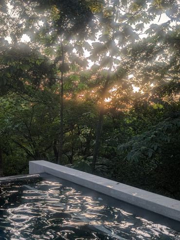 Sunset light filters through trees by a tranquil pool.