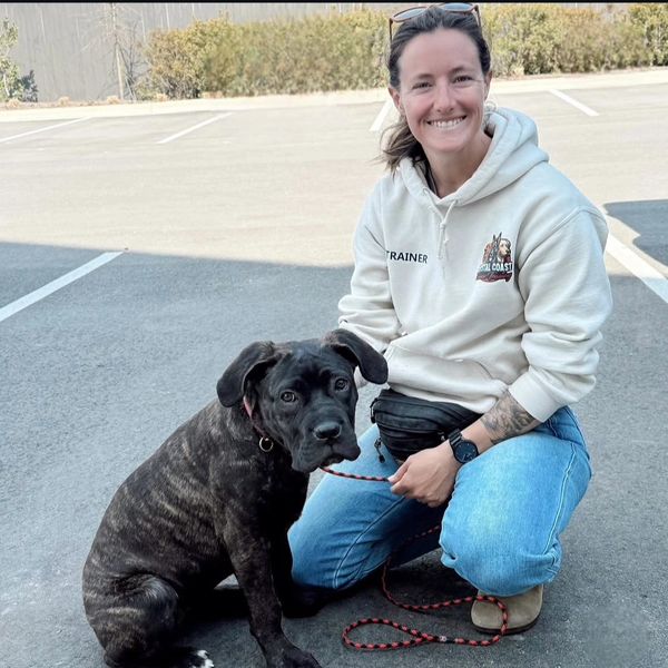 Smiling dog trainer kneels beside a black dog on a leash in an outdoor parking lot.