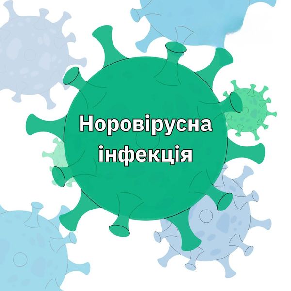 Illustration of norovirus infection with virus shapes.