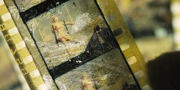 Close-up of a vintage film strip with photographic frames.
