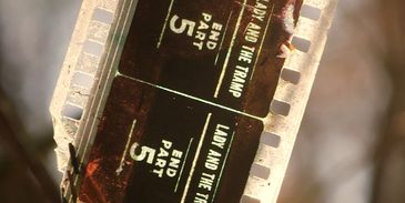 Film strip showing "Lady and the Tramp" Part 5 end.