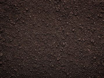Top Soil for sale by scoop and bulk. 
