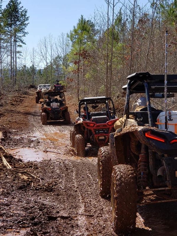 Polaris RZR trail riding in the woods.