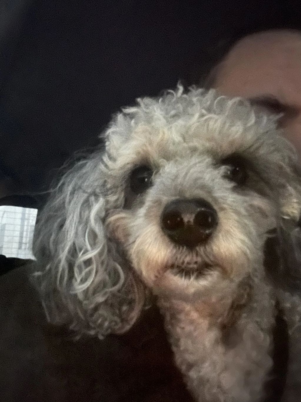 Beauty is in the eye of the beholder.