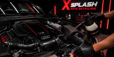 Person detailing an Audi V6 engine.