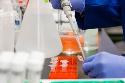 Örnekler alınarak pH ölçümü gibi testler ve biyolojik analizler yapılır.