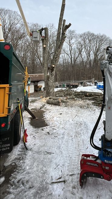 Winter work