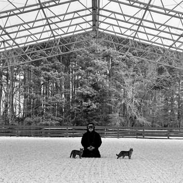 Meditating with cats