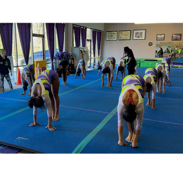 DISCIPLINE, MOTOR SKIL