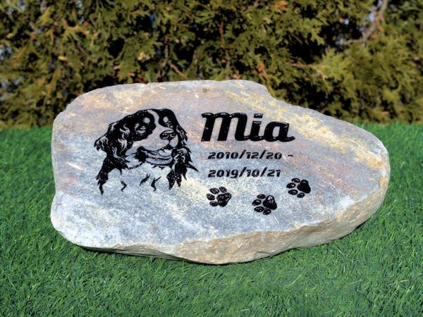 Engraved river rock pet memorial for Bernese mountain dog.